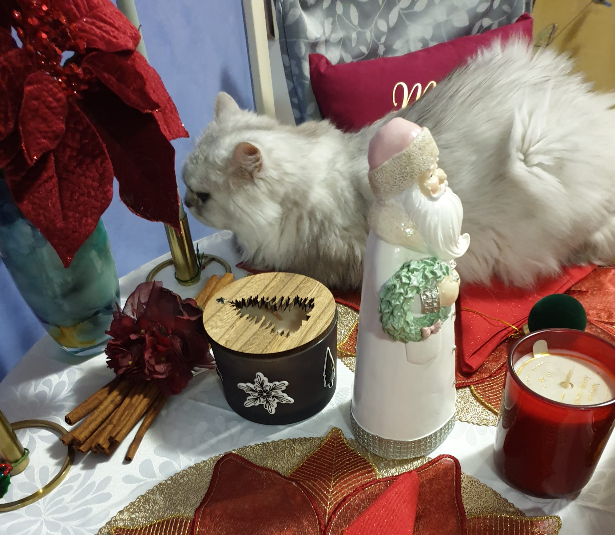 Bellamy is checking the Christmas dinner table setting