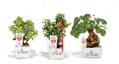 איך למתג נכון להצלחה מובטחת באירועים עסקיים וכנסים, מתנות לאירועים עסקיים ופרטיים