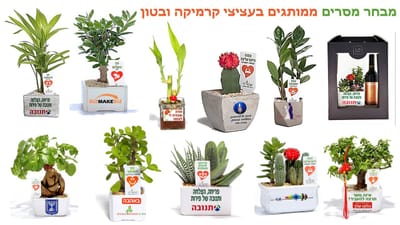 חוזרים לפעילות? עציצים ממותגים יעזרו לכם לחדש את הקשרים עם העובדים והלקוחות  עם  מתנות לאירועים עסקיים ופרטיים