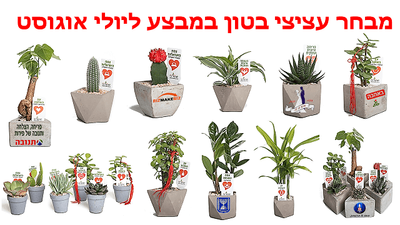 מתנות לראש השנה, עציצי בטון ממותגים, מתנות לעובדים וללקוחות  עם מתנות לאירועים עסקיים ופרטיים