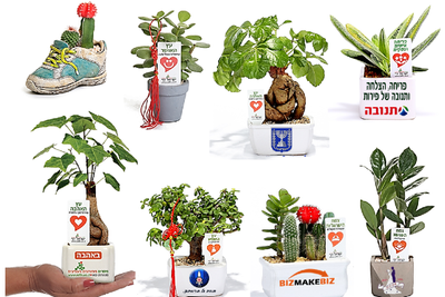 עציצים ממותגים ומארזי שי image