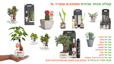 מתנות לחג הפסח, מבחר גדול של עציצים ומארזי שי לעובדים והלקוחות