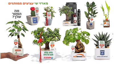 מתנות לטו בשבט, עציצים ממותגים, מארזי שי, לצמיחה ופריחה של העסק שלכם