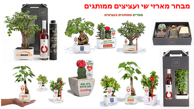 מתנות לפסח, מתנות לעובדים והלקוחות, מארזי שי, עציצים ממותגים.