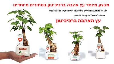 מבצע מיוחד עץ אהבה ברכיכיטון במחירים מיוחדים ומוזלים מתנות לראש השנה