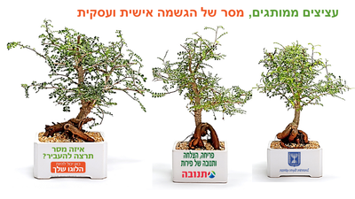 מוצר חדש במשתלות רף ישראל, מסר של הגשמה אישית ועסקית מתנות לראש השנה