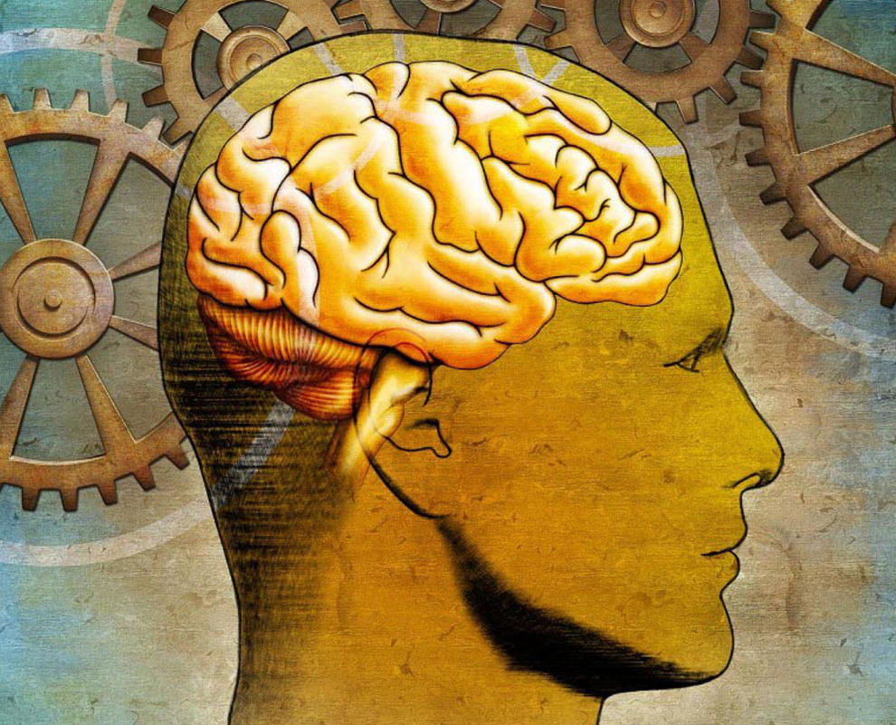 Nuestro cerebro y las capacidades sensoriales.