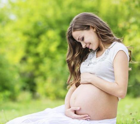 Desarrollo prenatal