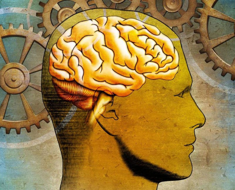 Nuestro cerebro y las capacidades sensoriales.