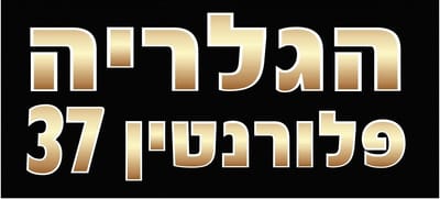 תקנון הגלריה פלורנטין 37 image