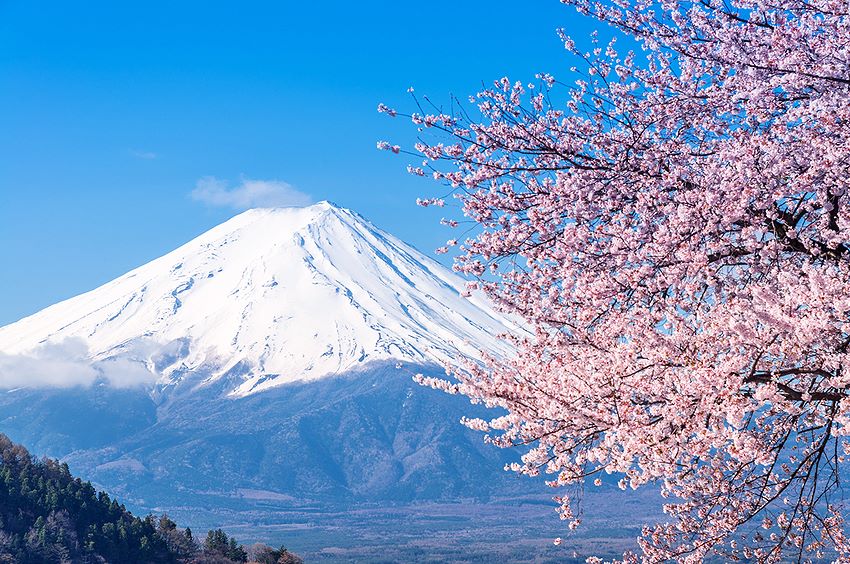 جبل 富士山  Fuji - san – مصدر الإيمان و الفن لدى اليابانيين.