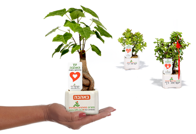 איך למתג נכון עבורכם להצלחה מובטחת מתנות ממותגות שנותנות יותר בכנסים ואירועים עסקיים