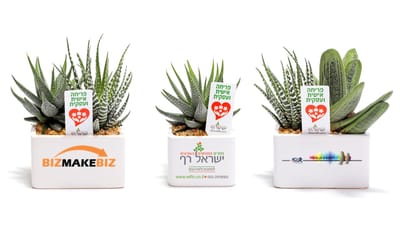 מתנות לטו בשבט, הלהיט החדש, מסר של פריחה אישית ועסקית לשנה מוצלחת,  מתנות ממותגות שנותנות יותר