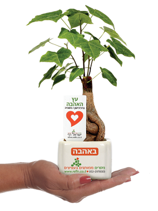 מתנות ממותגות שנותנות יותר, מתנות לחג האהבה, מסר של אהבה עם עץ האהבה לכל המשפחה