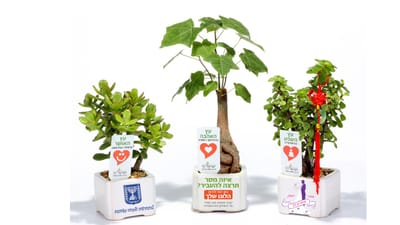 מתנות אישיות לראש השנה ללקוחות ולעובדים, להצלחה מובטחת, נשמח לעזור,  מתנות ממותגות שנותנות יותר