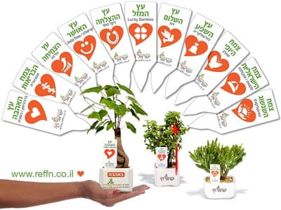 מתנות ללקוחות לטו בשבט, עציצים ממותגים כמוצרי פרסום לצמיחה עסקית  עם מתנות ממותגות שנותנות יותר