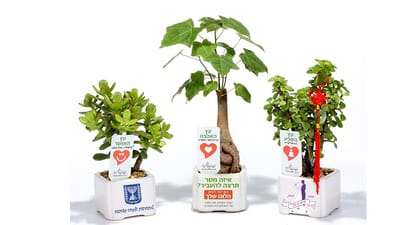 מתנות לכנסים ואירועים, מזכרת נפלאה להרבה שנים, עציצים ממותגים