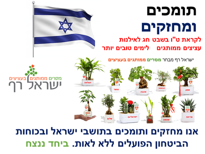 מתנות לטו בשבט, להזמין  באהבה עציצים ממותגים ומארזי שי לאות הערכה לחיזוק ולתמיכה