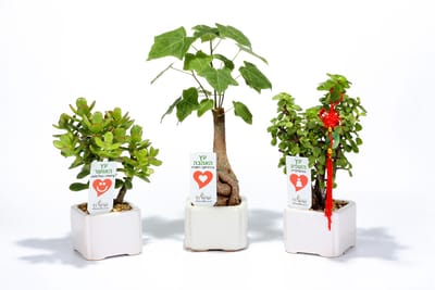 מוצרי פרסום שנותנים יותר, יקנו לכם יתרון גדול מול המתחרים