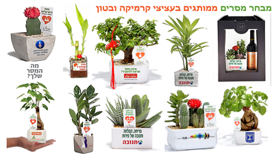 מתנות ממותגות לראש השנה, סרטון עציצים ממותגים עם מסר  אישי ממותג  עם מוצרי פרסום שנותנים יותר