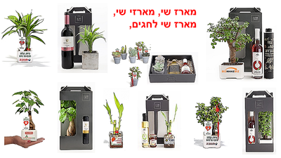 מארזי שי, מארז שי, לעובדים והלקוחות, בשילוב עציצים ממותגים עם מסר אישי ממותג בעציץ  עם מוצרי פרסום שנותנים יותר