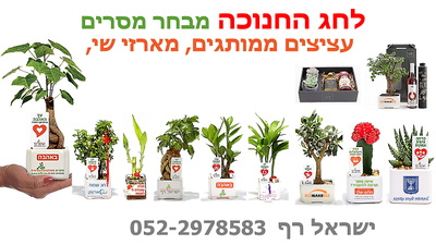מתנות לחג החנוכה, עציצים ממותגים, מארזי שי, מתנות לעובדים והלקוחות מזכרת לשנים רבות