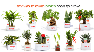 מתנות לראש השנה, לשנה עסקית מוצלחת תנו עציצים ממותגים לעובדים וללקוחות.