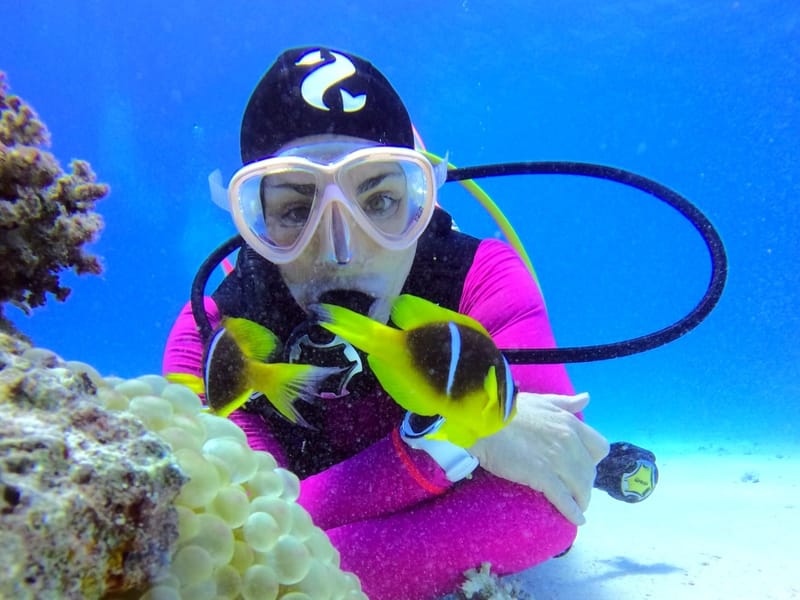 From Hurghada, Red Sea Diving Adventure for Beginner to Expert Divers $ 59