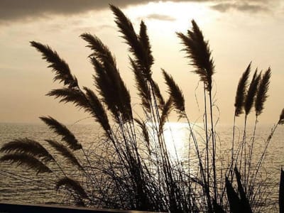 Fixed vs. growth mindset