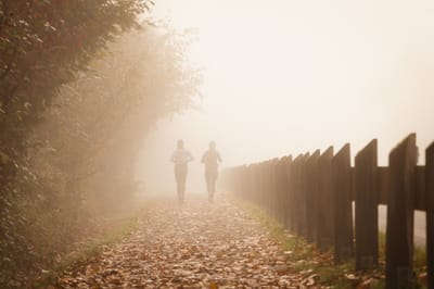 Lose weight without going to the gym