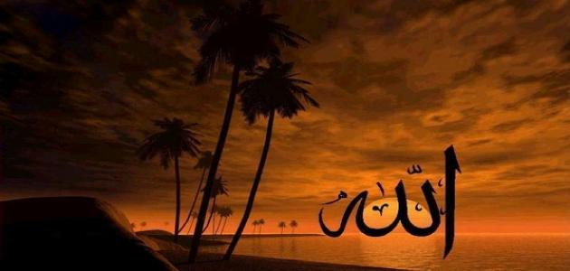 كيف أتقرب إلي الله ؟