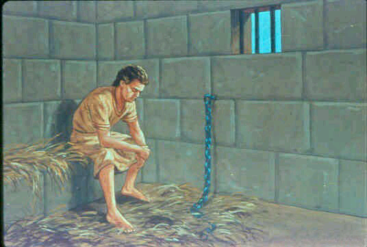 ​✦ قصة السجين وطريق الخروج ✦