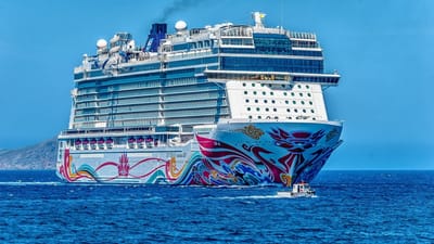 Choosing A Cruise Firm image