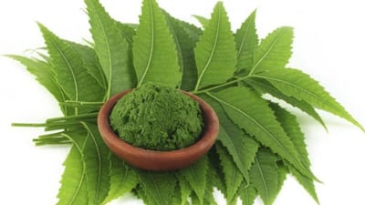 कई गुणों से भरपूर है नीम, जाने इसके औषधीय गुण