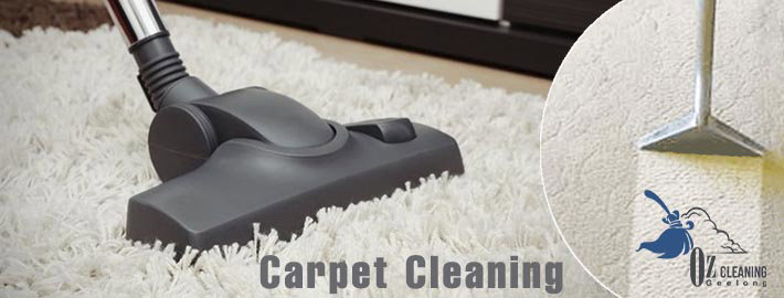 Handle the Carpet What Dogs in Your Carpet
