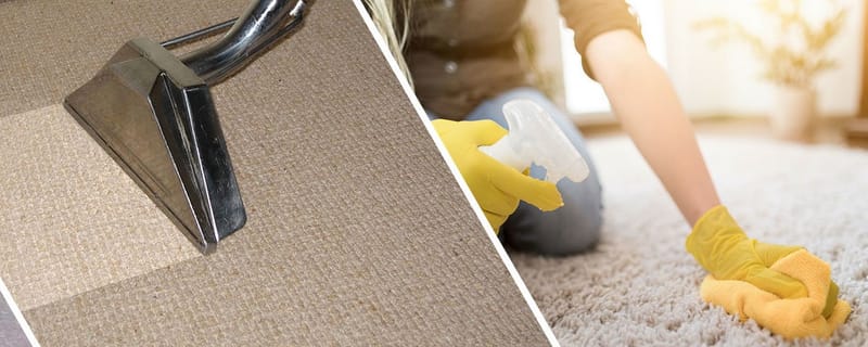 How Many Times Should You Clean Your Carpet?