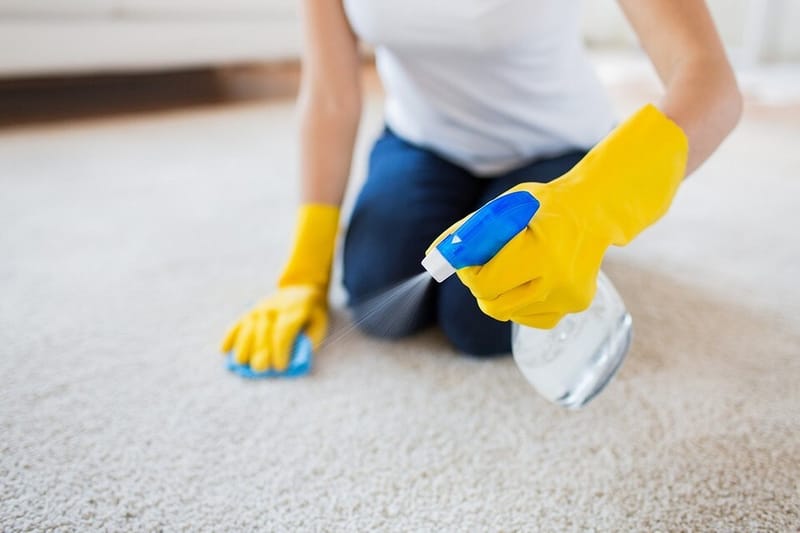 Domestic And Office Carpet Cleaning - Keep Your Property Hygienic