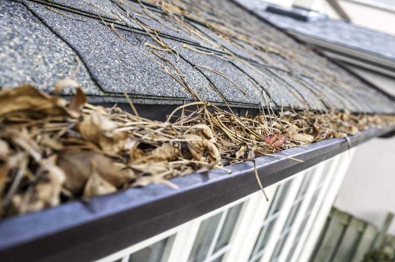 GUTTER CLEANING