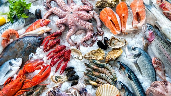 COMPOSICIÓN QUÍMICA, VALOR NUTRITIVO Y CLASIFICACIÓN DEL PESCADO