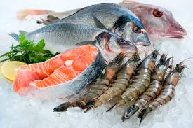 LIPIDOS