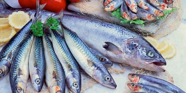 Valor nutricional de los ácidos grasos del pescado...