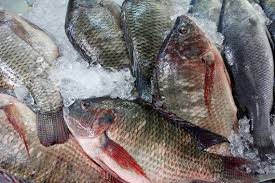 mariscos y mineralres