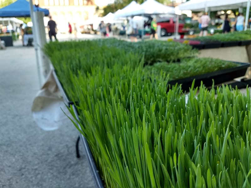 American Pride Microfarm photo