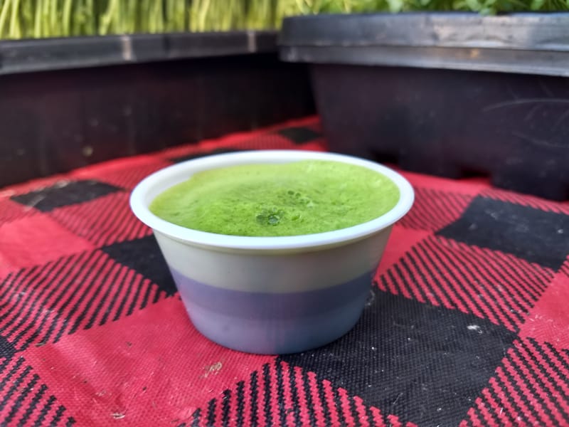 Fresh Wheat Grass Shot (Farmer's Market only)