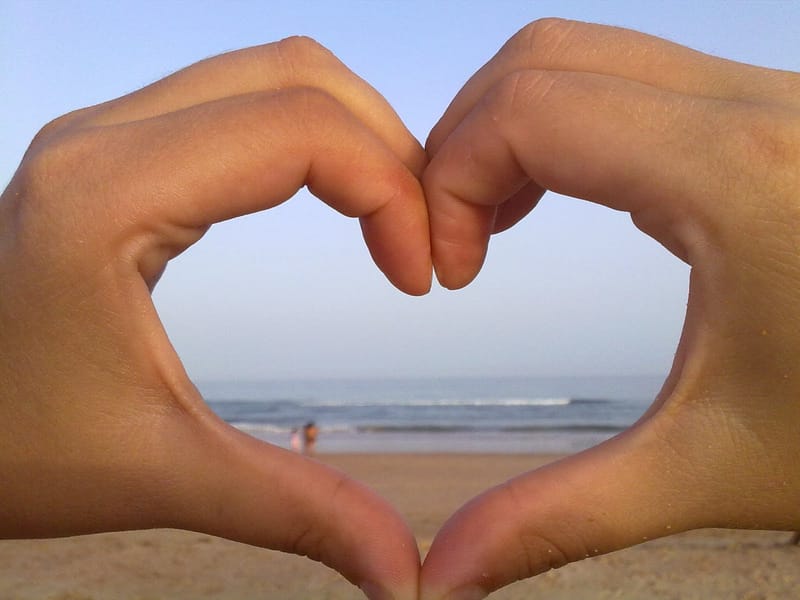 Amar o que faz é sinônimo de ter bons resultados?