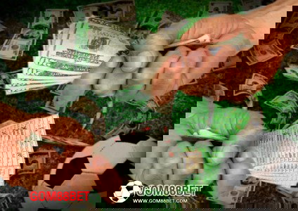 Football betting website Online Faith Story Horoscope