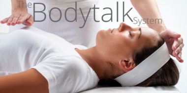 The Bodytalk System Overview