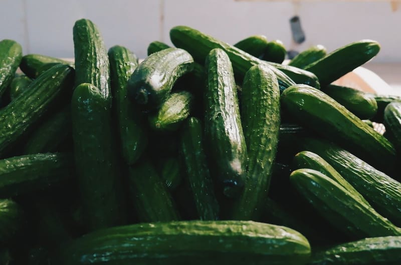 מלפופונים כבושים במי מלח