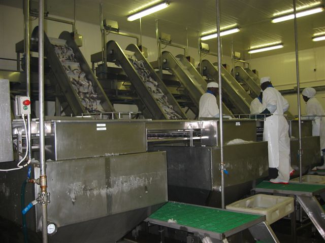 Fish Processing Factory