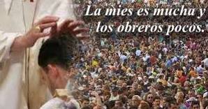 VOCACIONES NATIVAS image